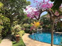 Resort gardens and main pool