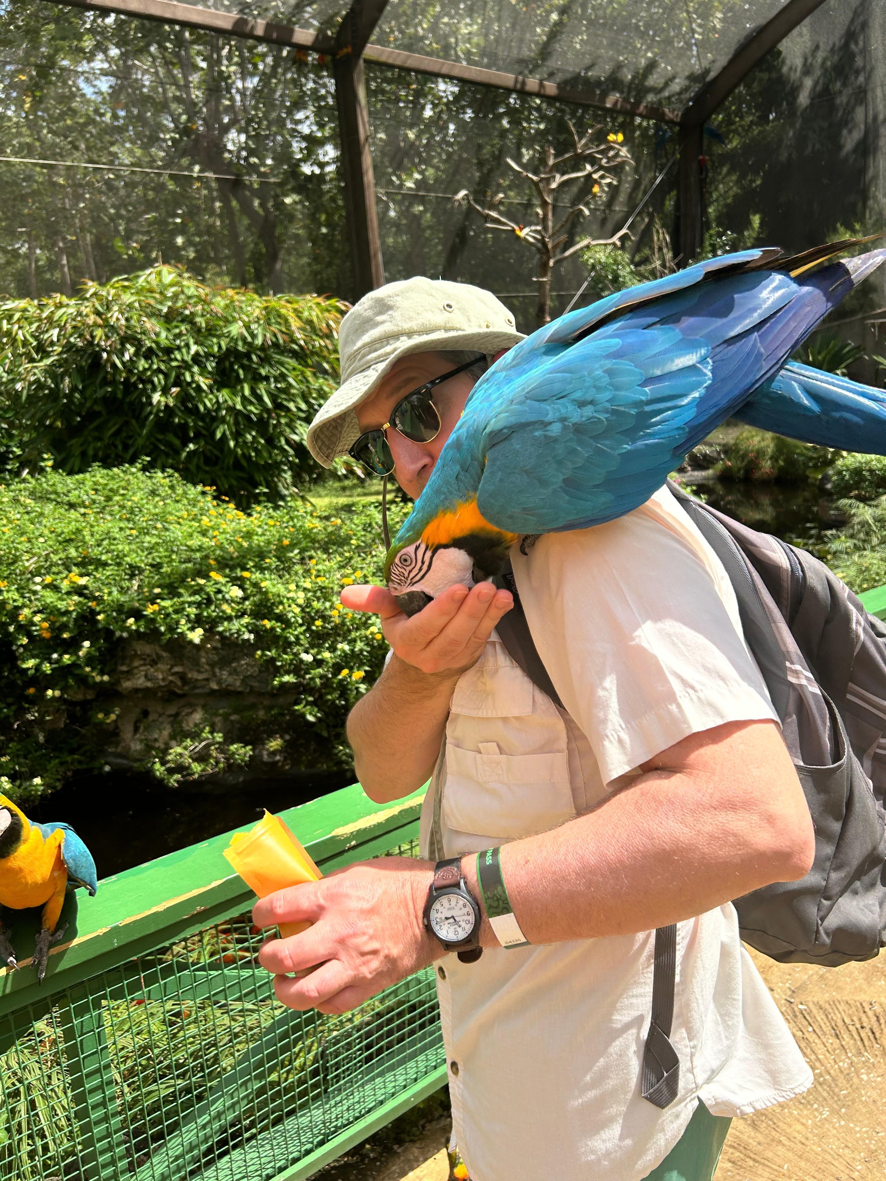 Graeme Hall Nature Sanctuary aviary.  