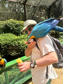 Graeme Hall Nature Sanctuary aviary.