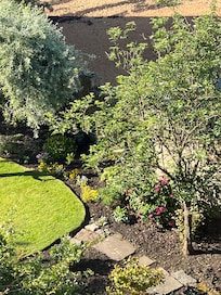 Breakfast room view