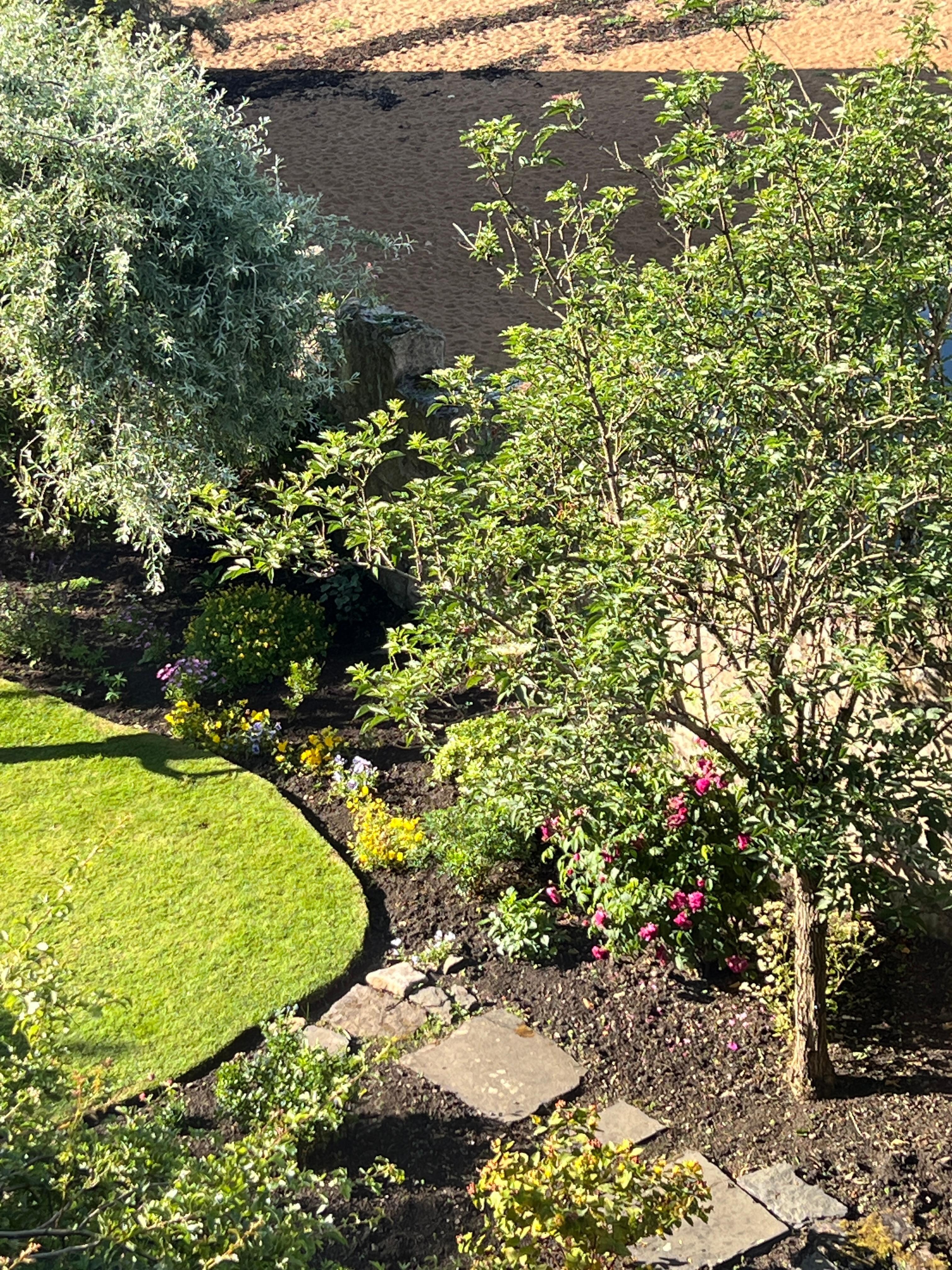 Breakfast room view 