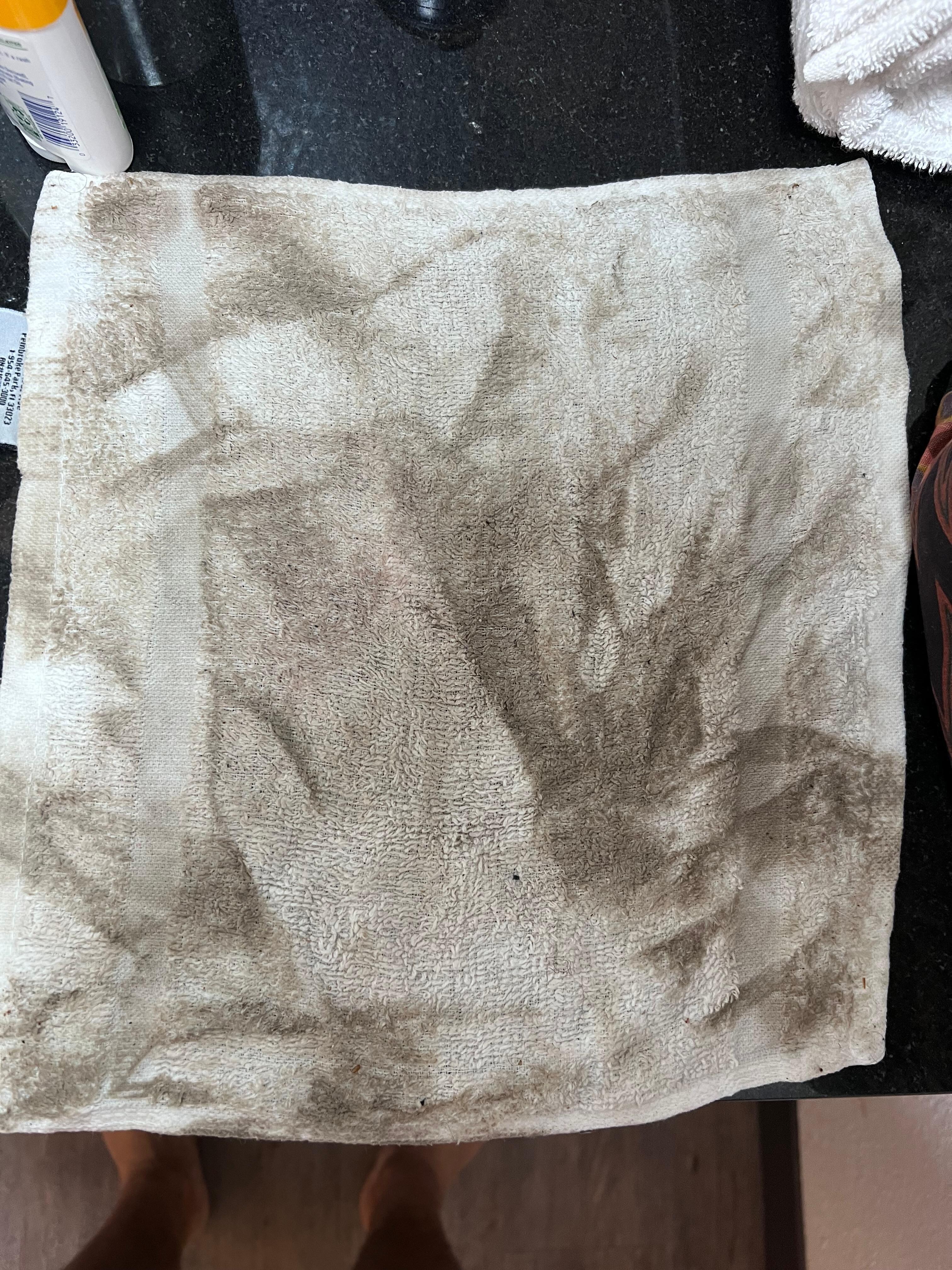 The washcloth after I wipe the floor the third time.
