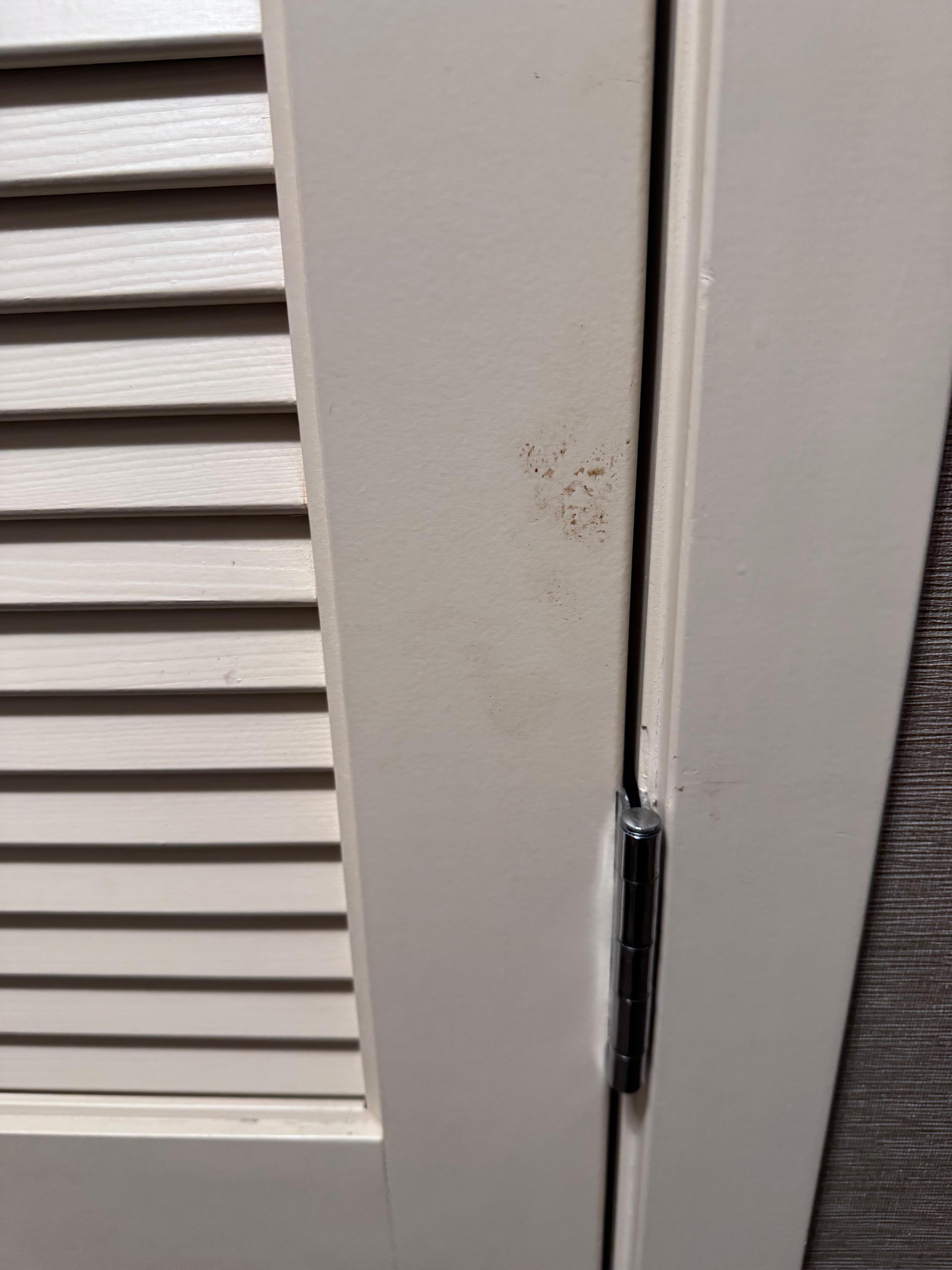 Closet door with whatever is on there from previous  use.  Wasn't very well kept.  Dirty 