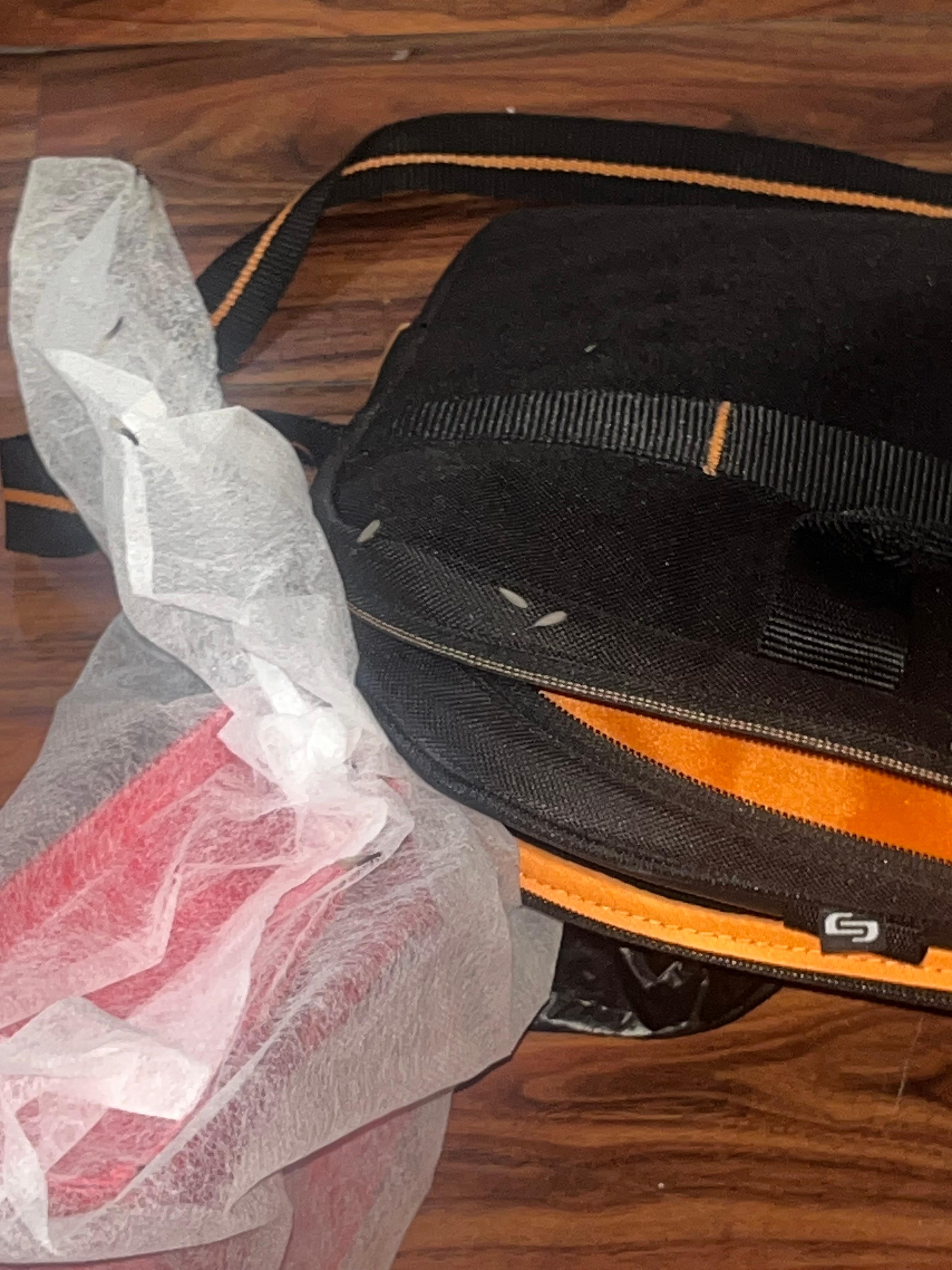 My laptop, bag and purse covered in bugs