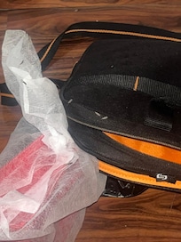 My laptop, bag and purse covered in bugs