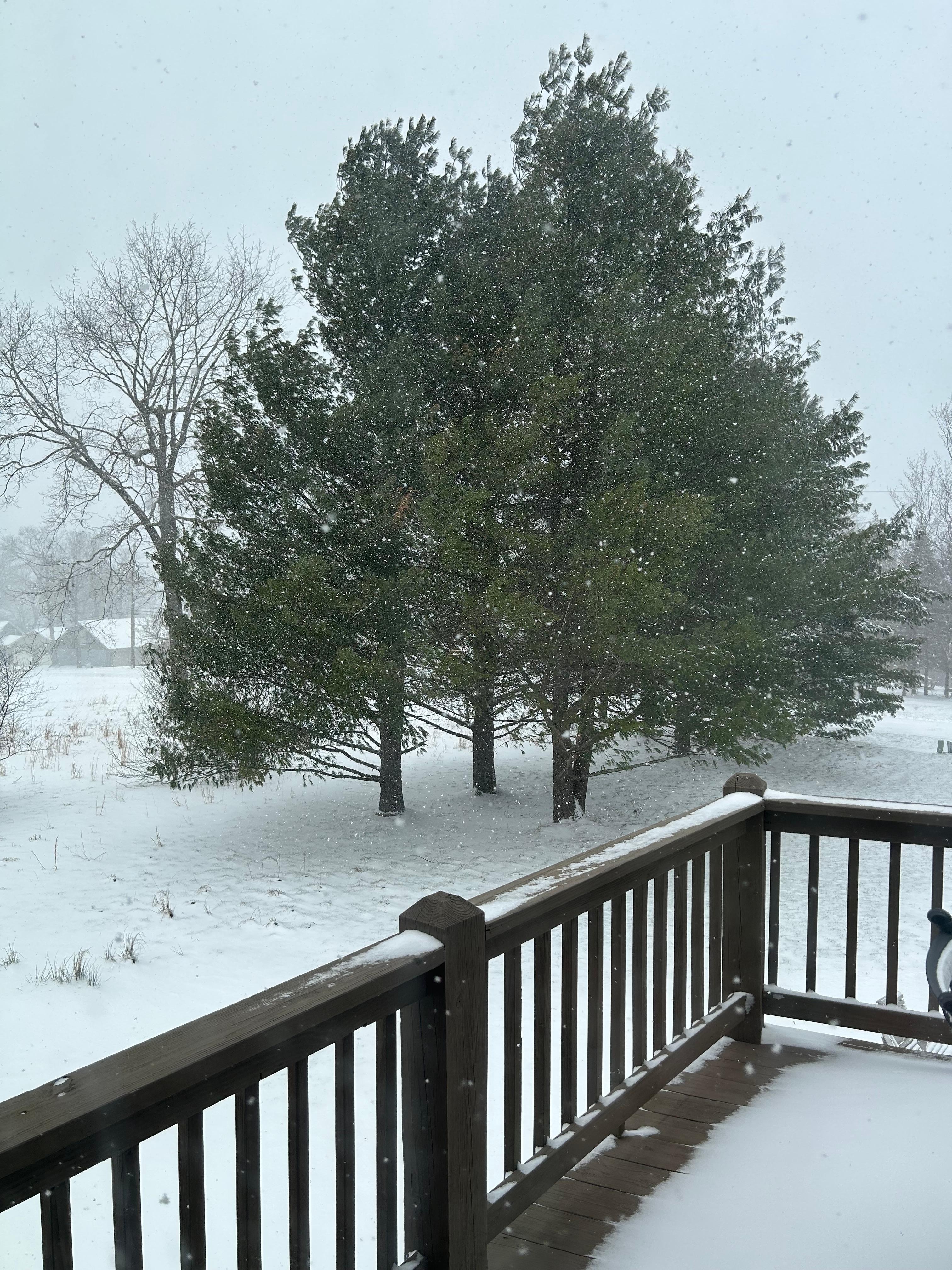 The snow was a pleasant surprise…