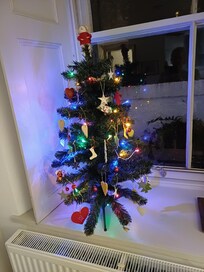 We loved the Christmas Tree in the window.