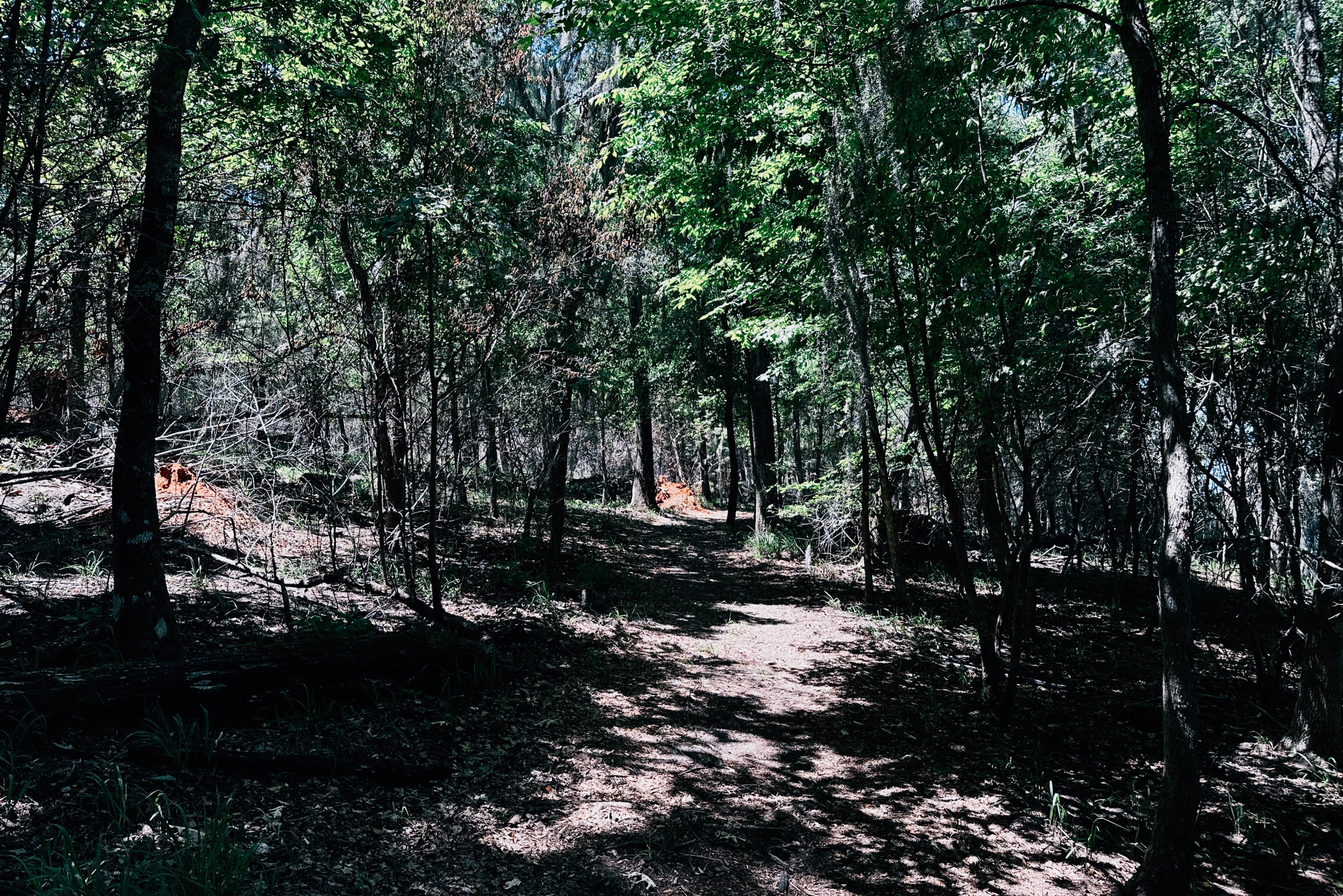 Three Rivers State Park trail. 
