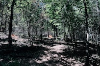 Three Rivers State Park trail.