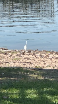 Daily visitor (much better fisher than me -lol)