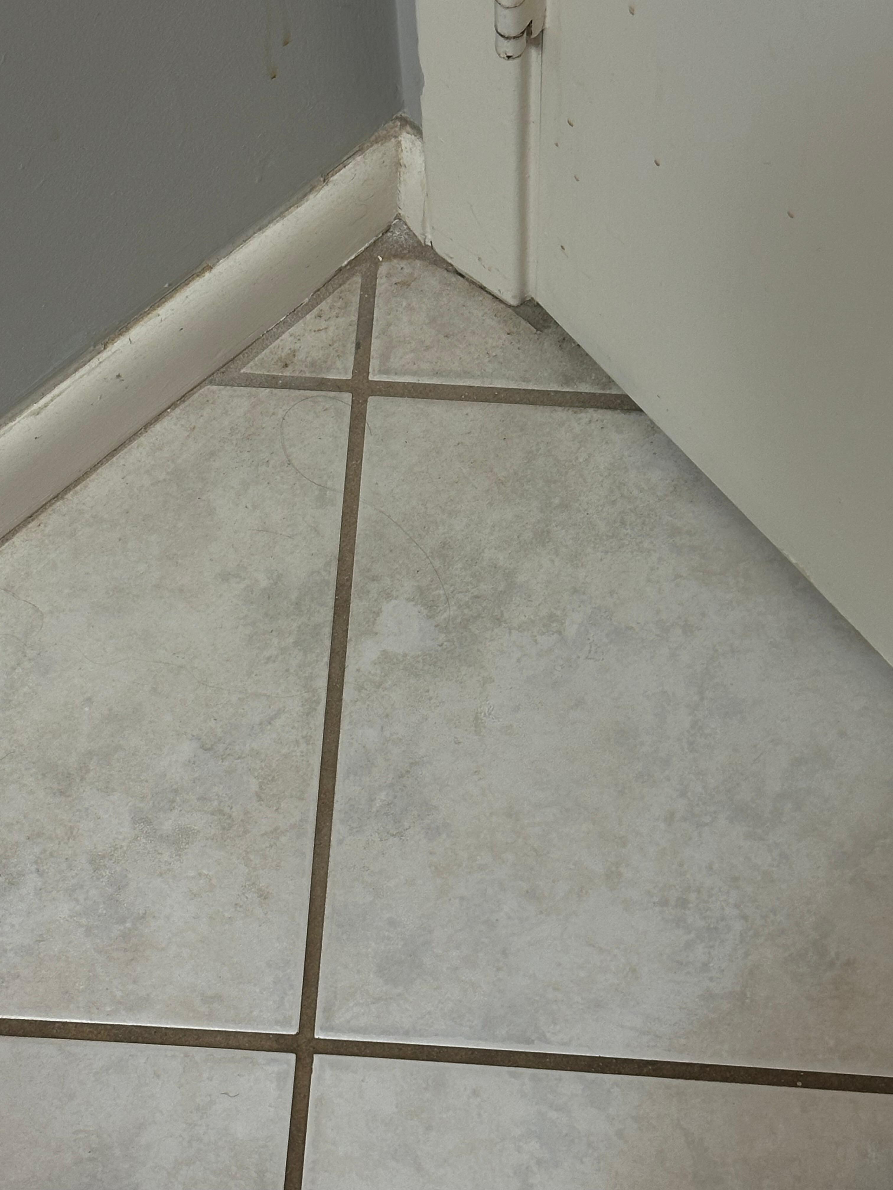 Behind bathroom door