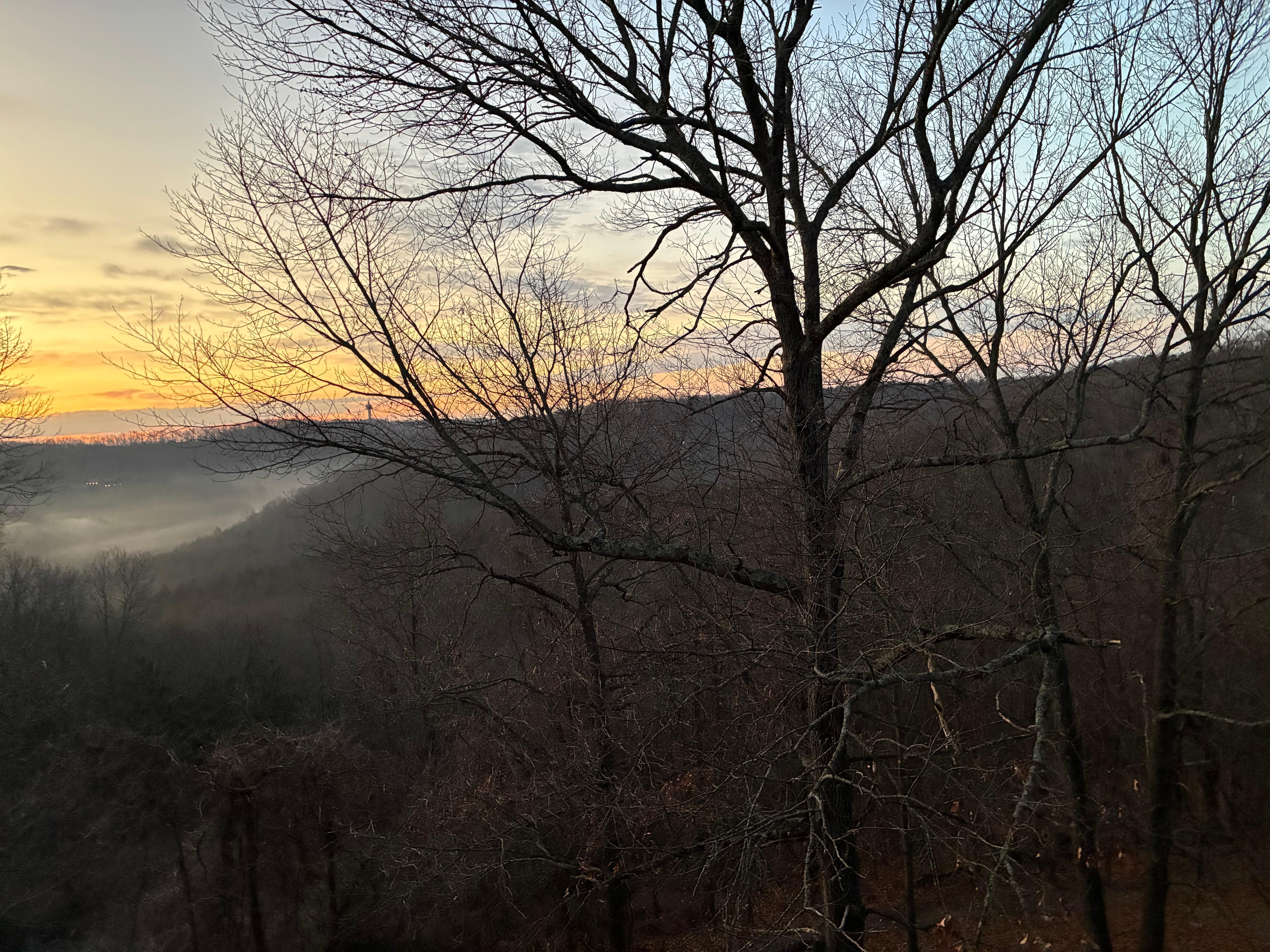 Looking out back porch 