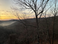 Looking out back porch