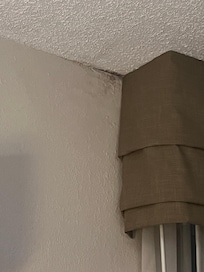 Mold
