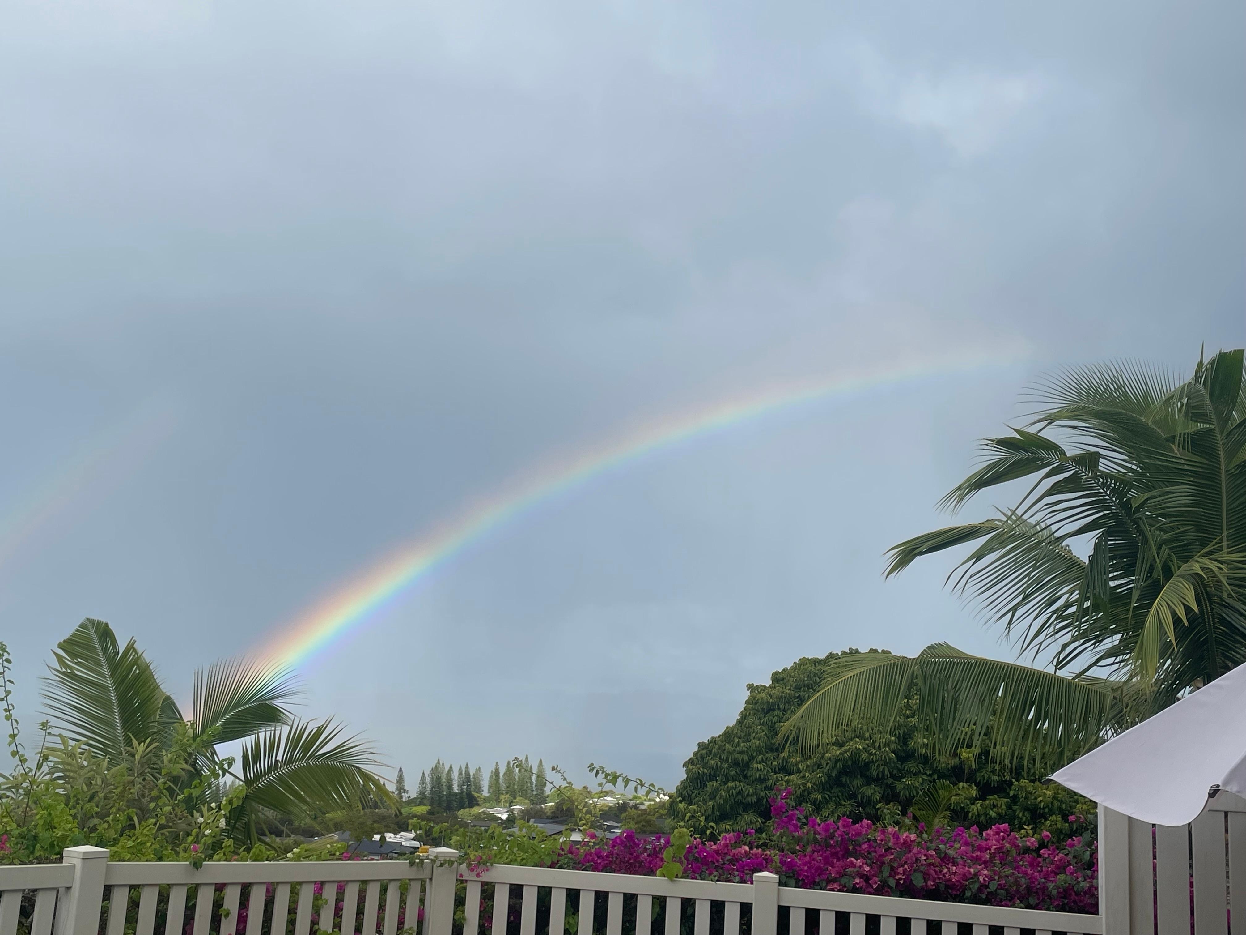 Rainbows everyday, such the name!!