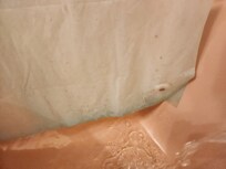 Blue stains on shower curtain liner from chlorine in the water, plus other spots.