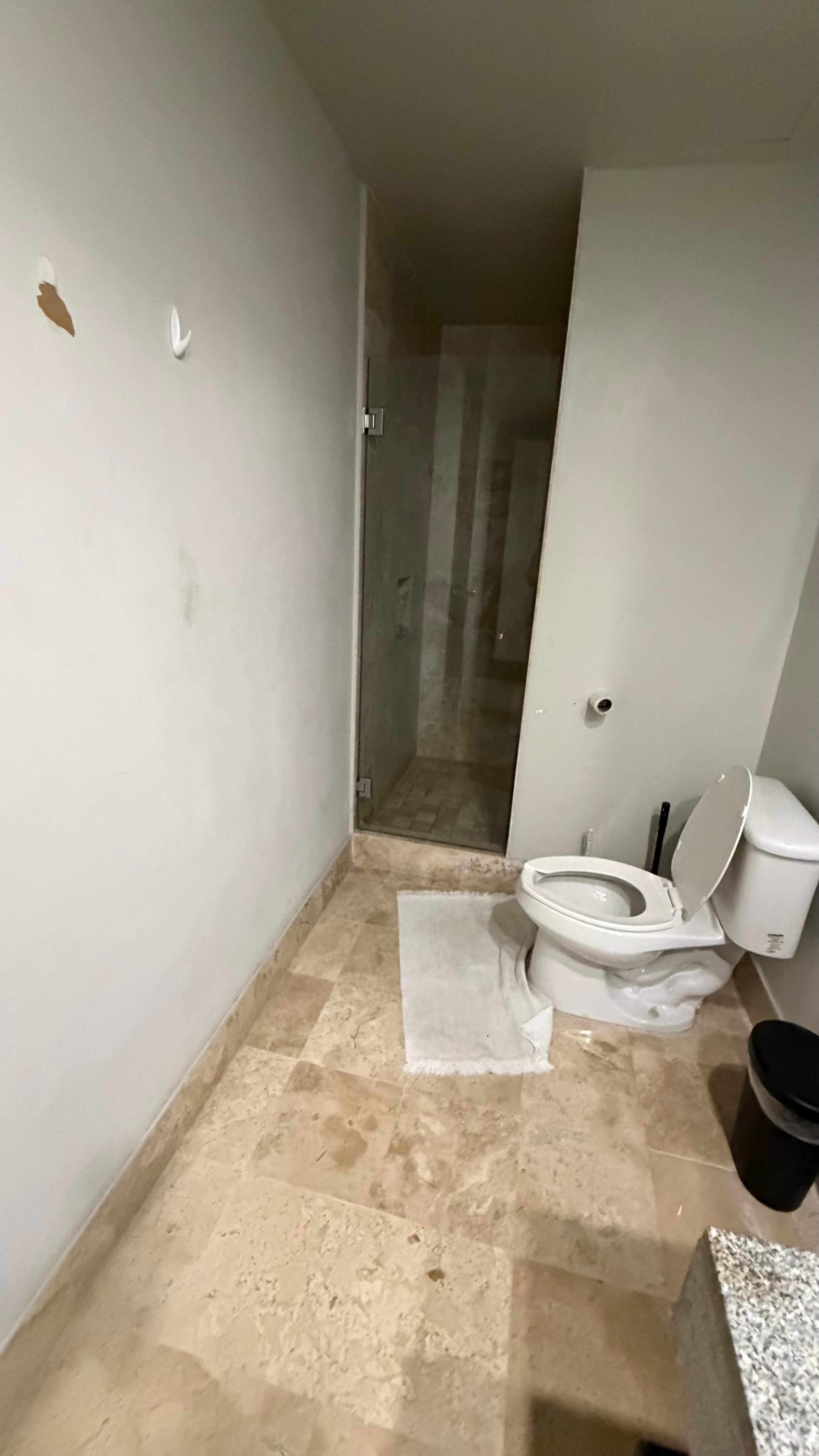 Bathroom 1, peeling paint missing toilet paper holder 