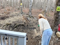 The sweet deer were ready to have breakfast every morning.