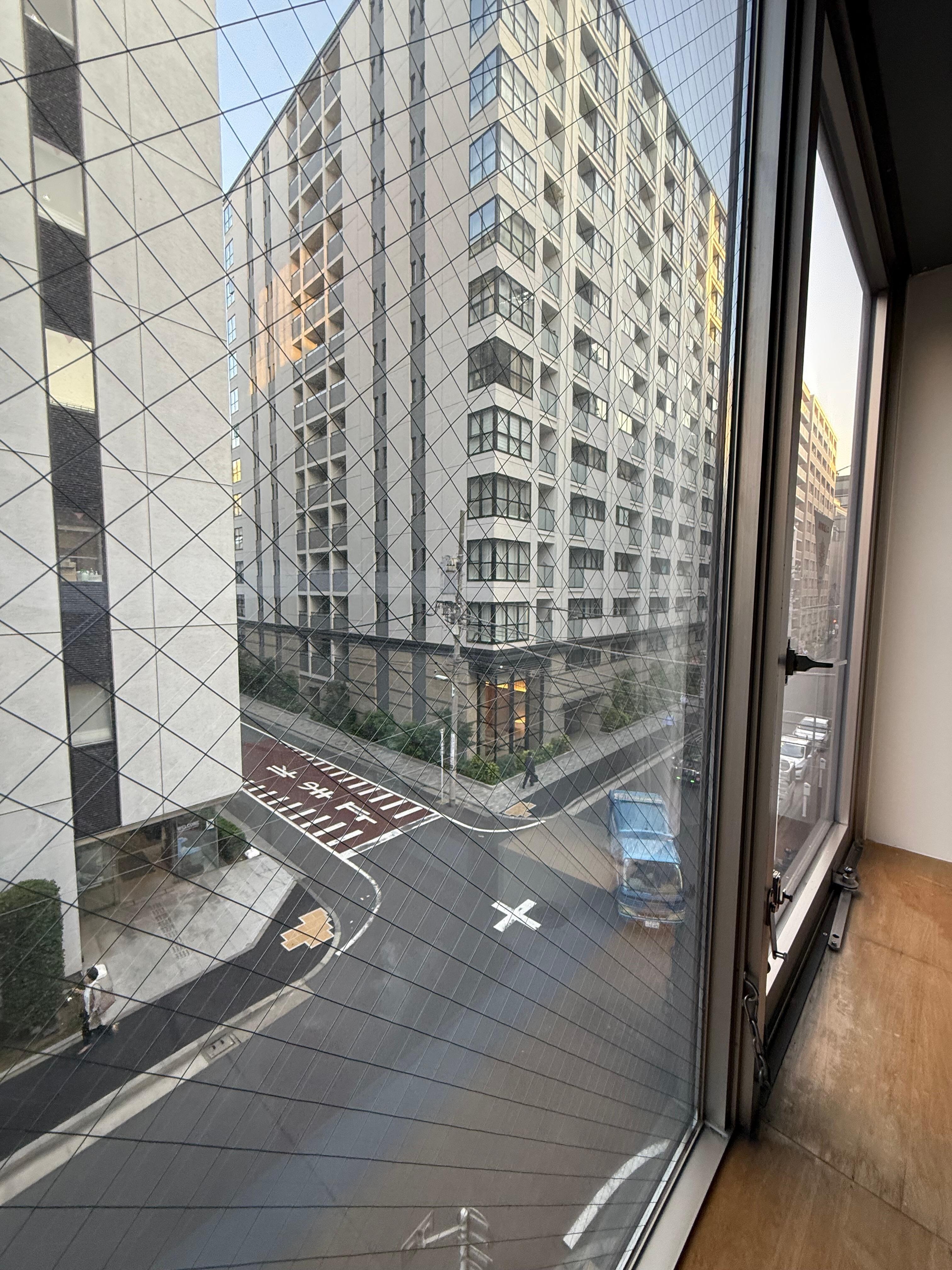 View from private room