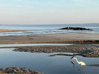 Wildlife about a 10 minute walk away.