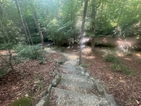 Lower part of steps to the creek. The upper part is steeper. Navigable for most healthy people.