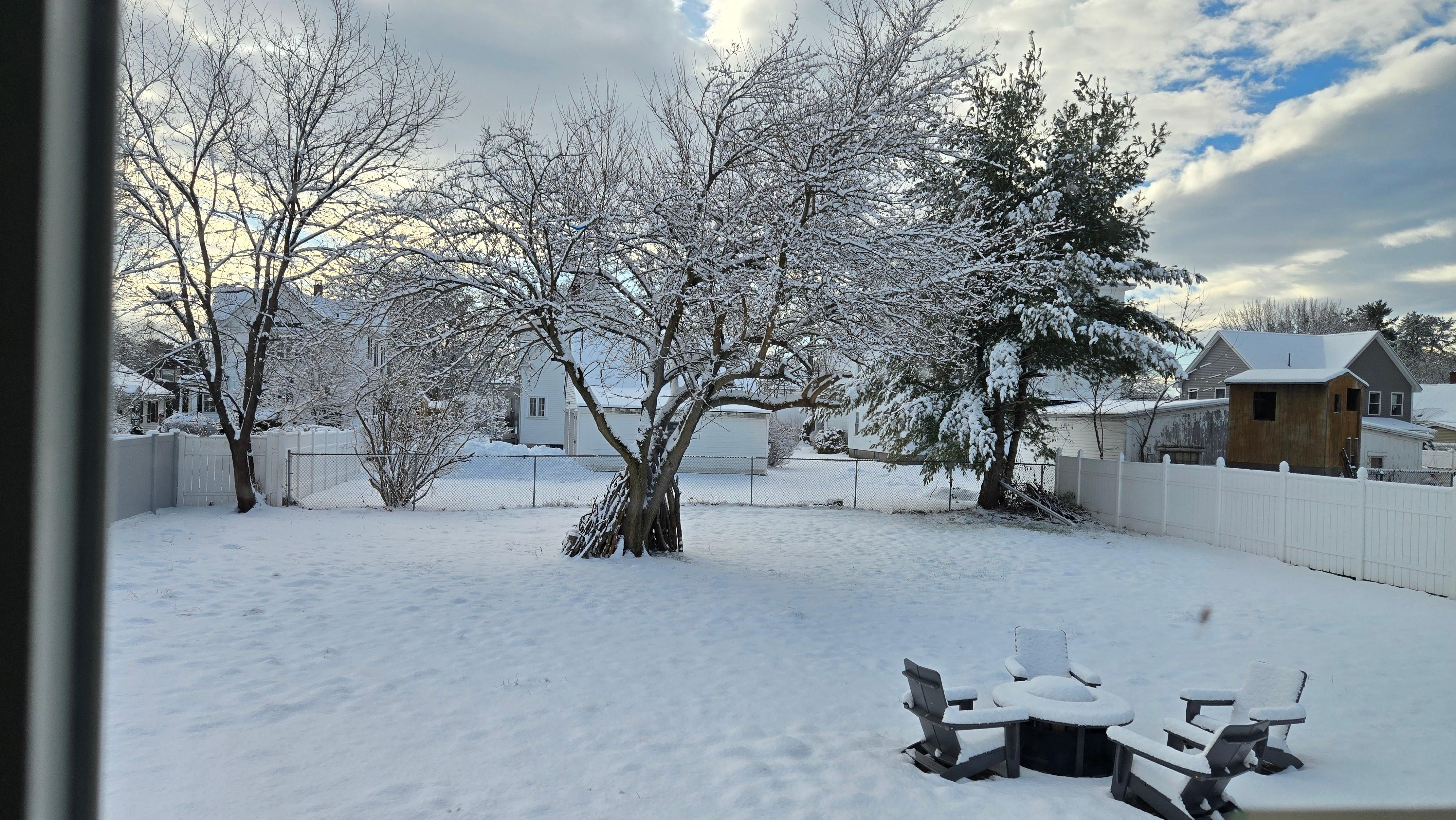 View of the backyard from the kitchen window 