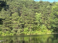 Beautiful and clean lake to fish and swim!!