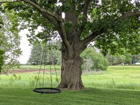 View from the front porch