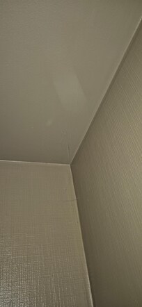 Cobwebs in toilet