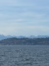 Edmonds ferry terminal is just 15 minutes drive from the apartment, and an easy way to explore Kingston, Poulsbo and Bainbridge Island.