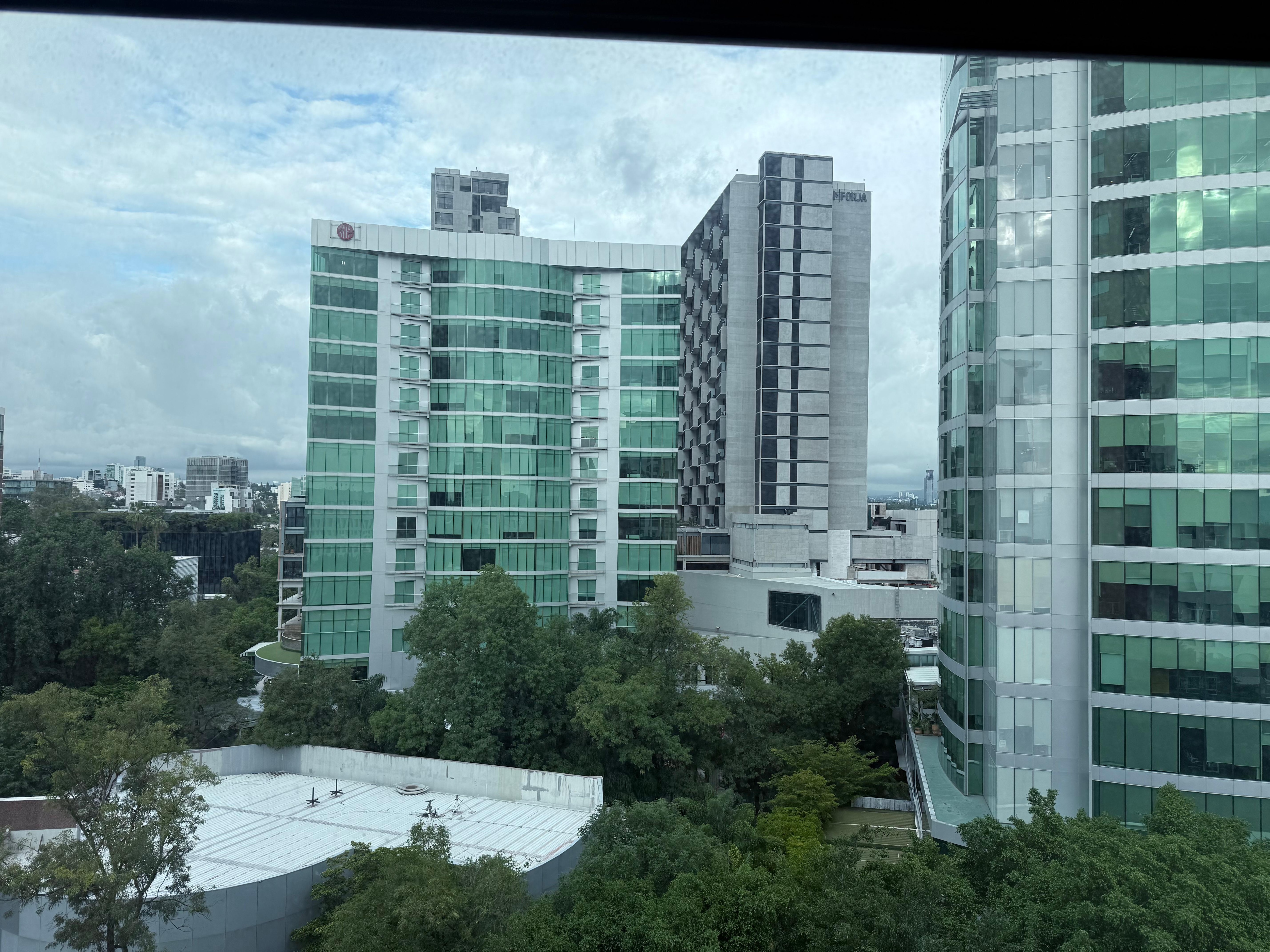 Poder tener abiertas las cortinas con estas vistas me encantó