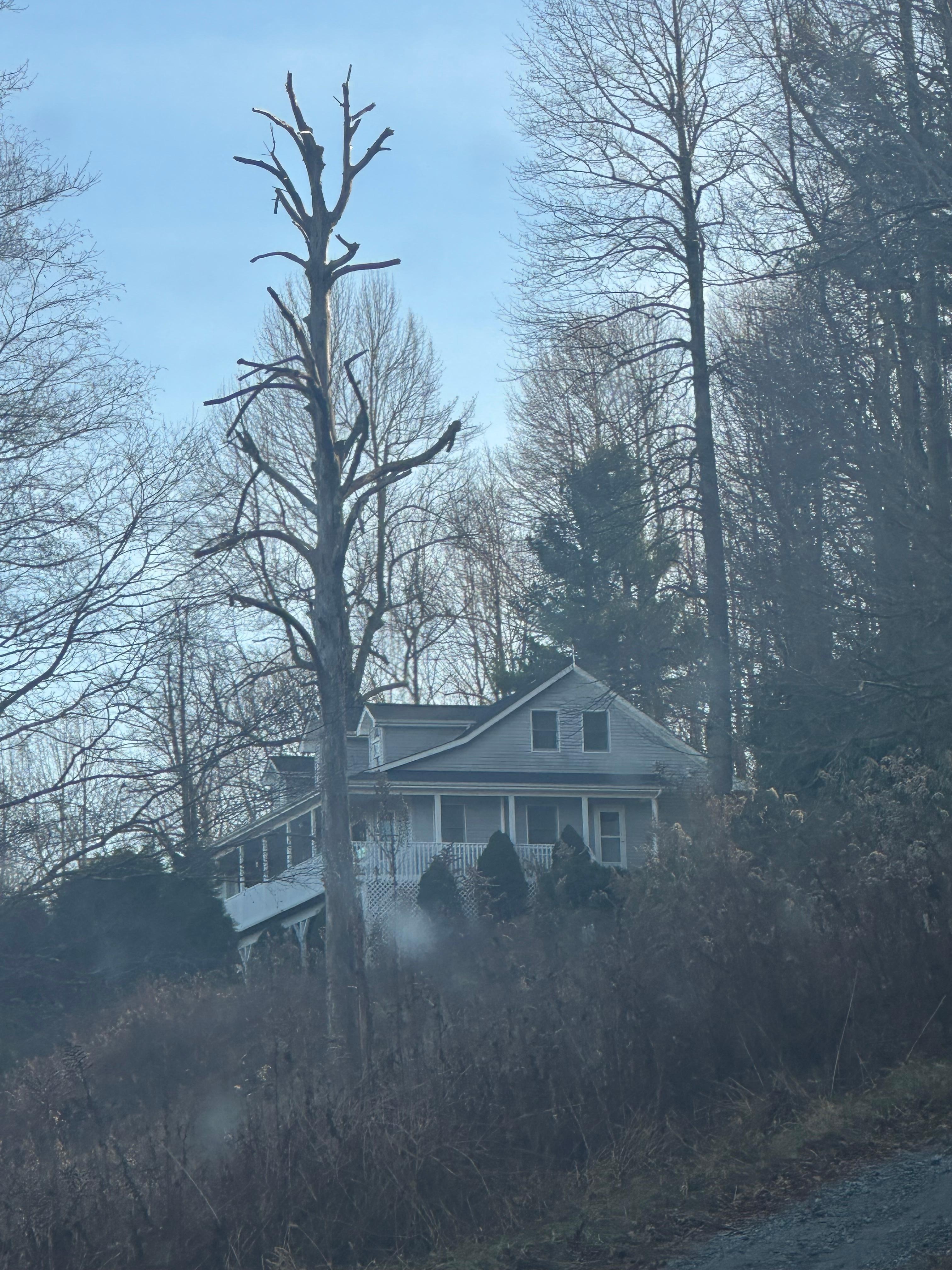 Hilltop Hideaway (coming up to property)