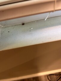 Window sill