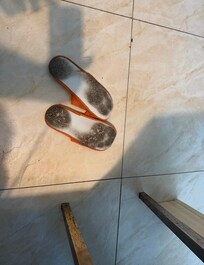 Slippers one week later