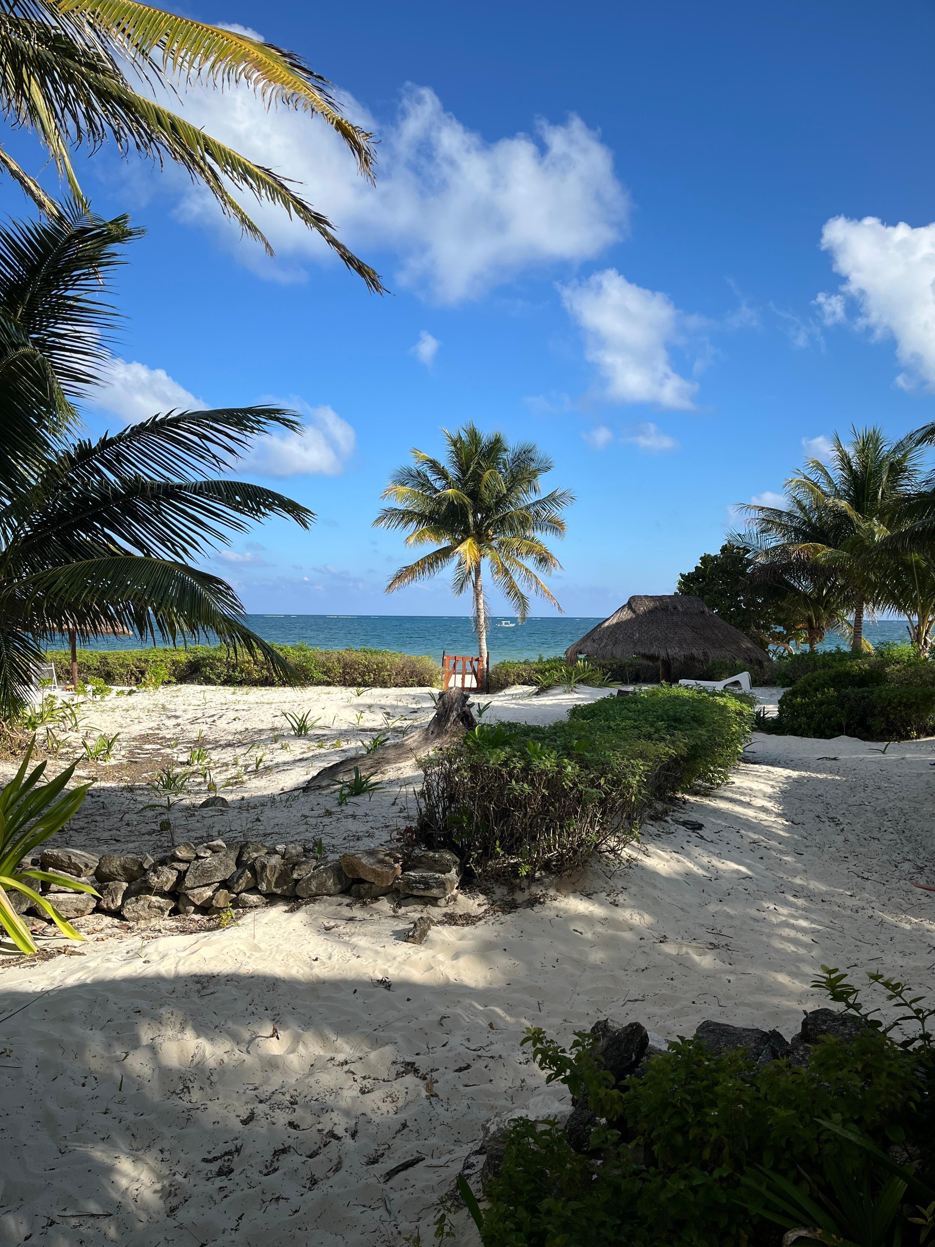 View from the screened porch. 