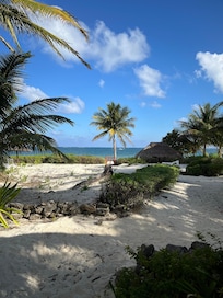 View from the screened porch.
