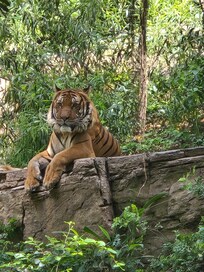 San Diego Zoo did not disappoint.