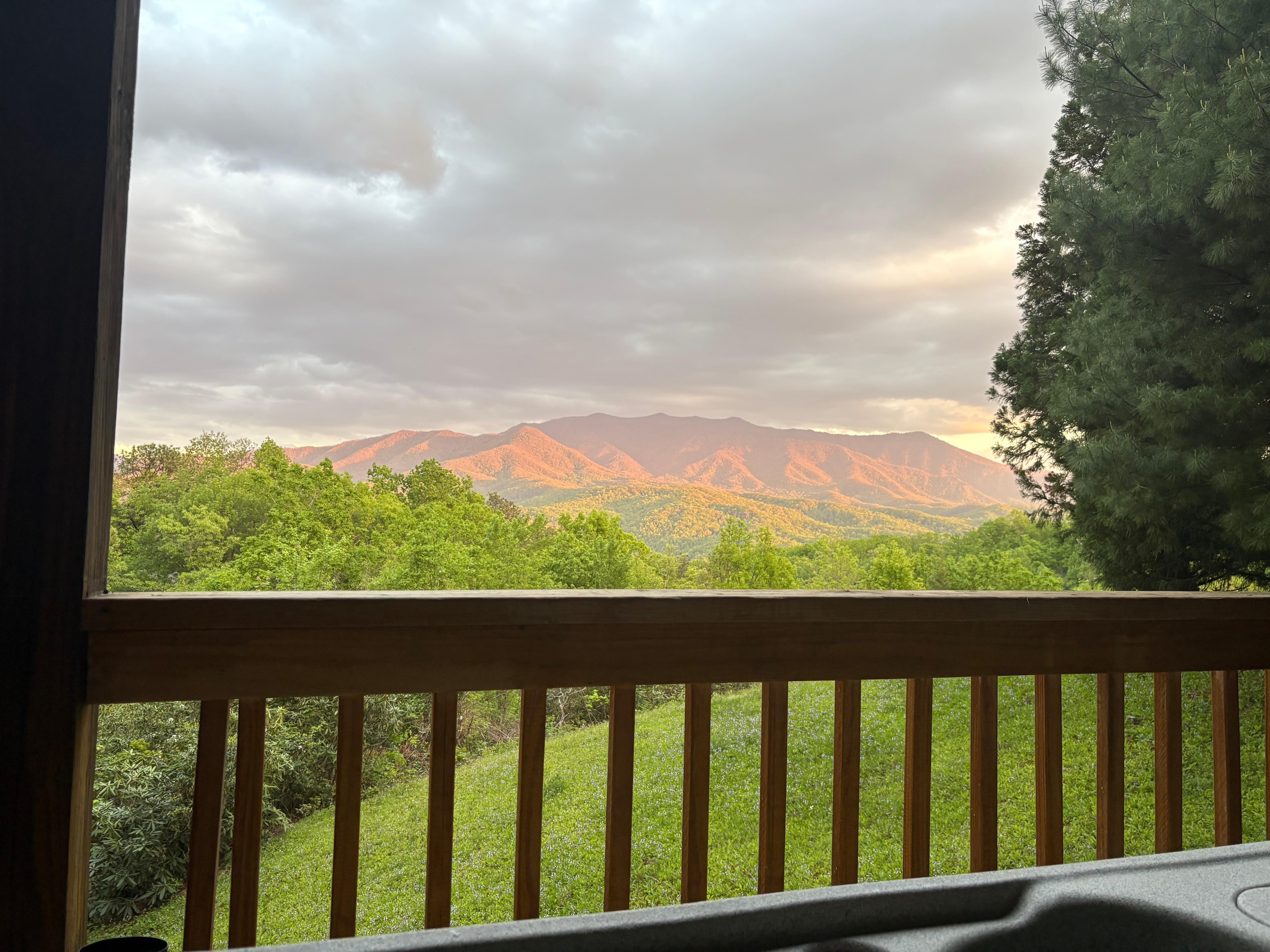 Back porch 