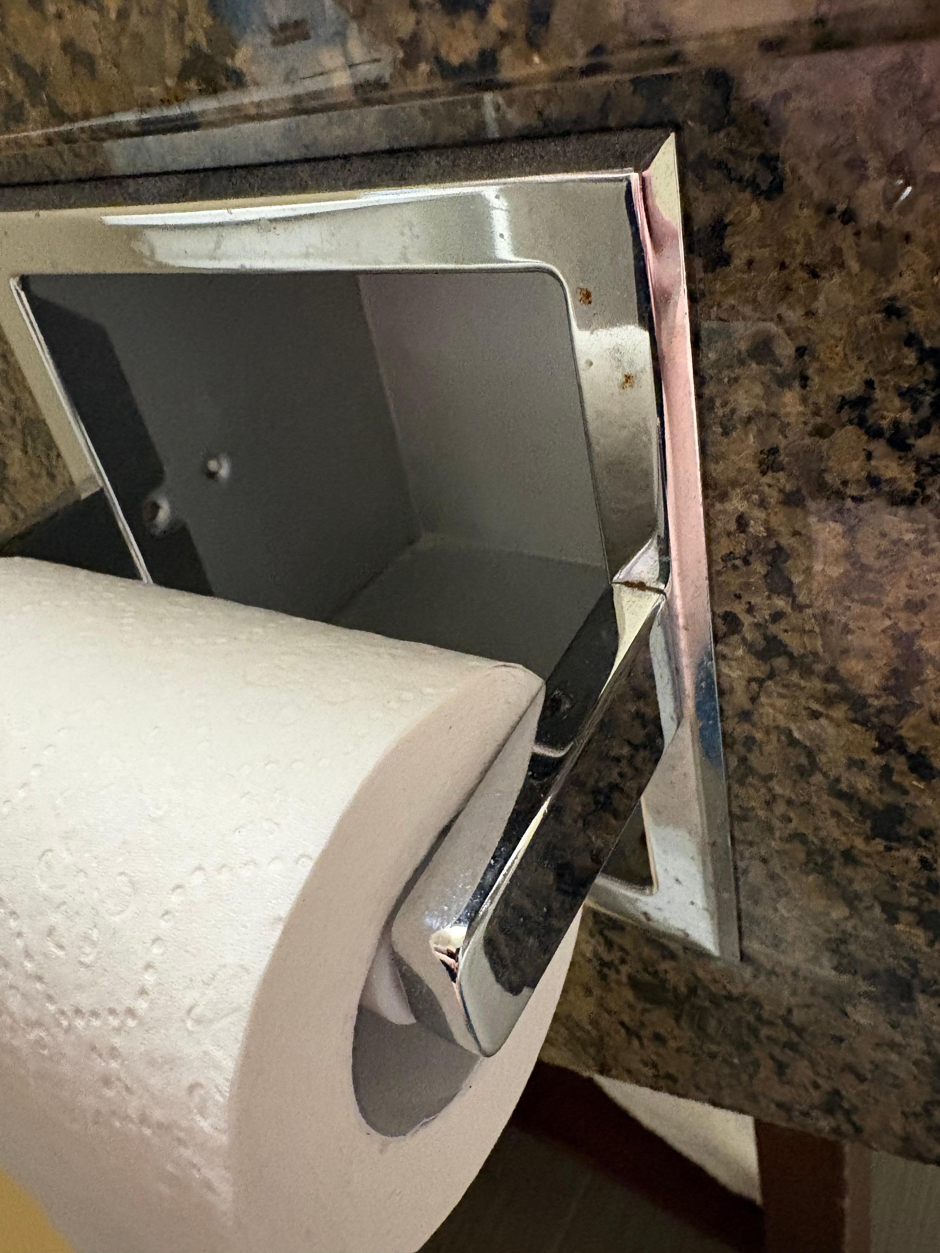 Poop on toilet paper holder