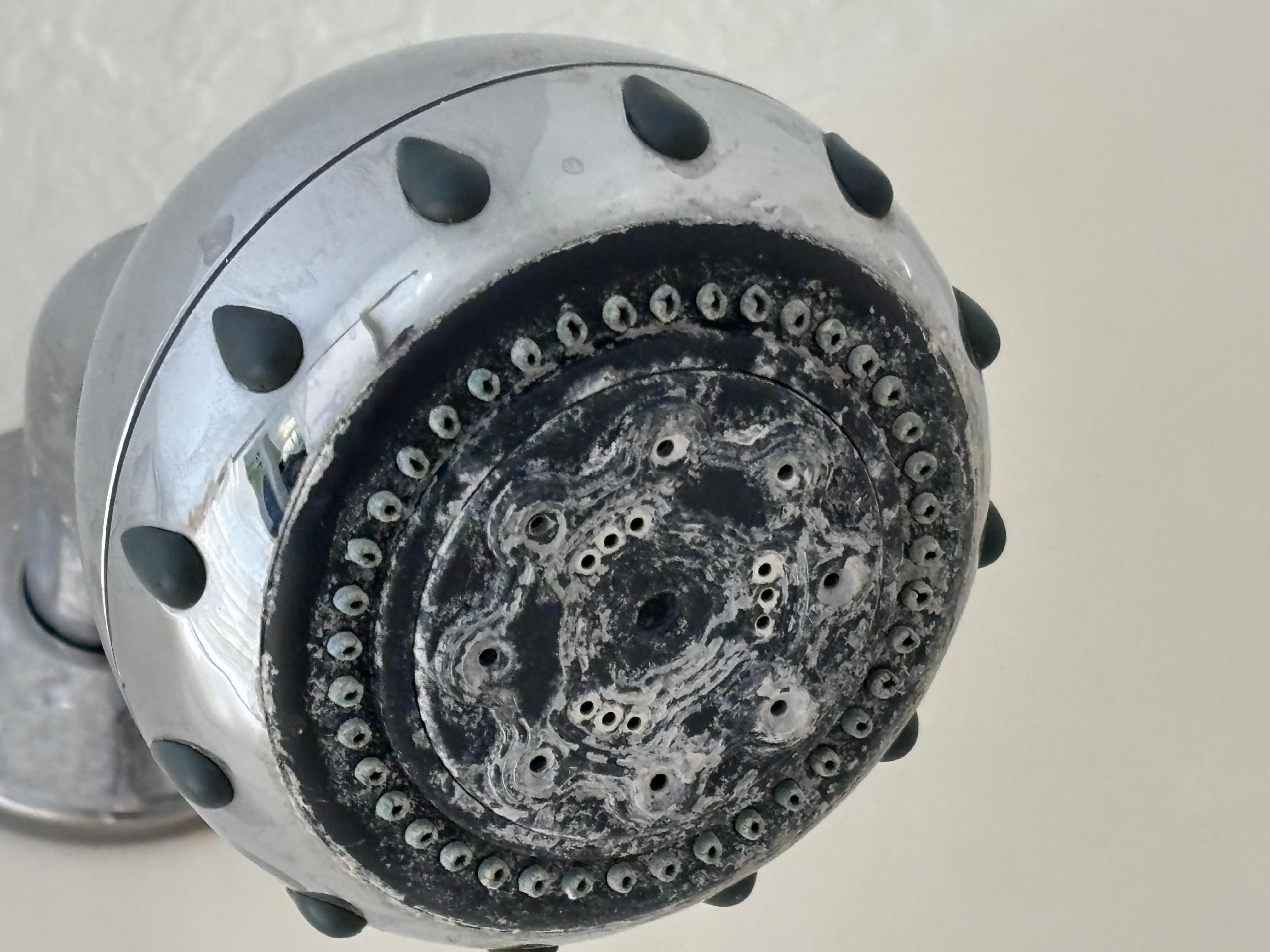 Disgusting showerhead