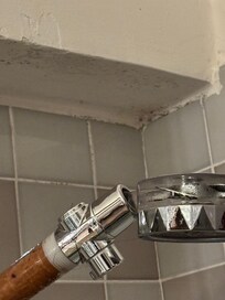 Mold