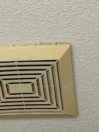 Mold around fan in bathroom