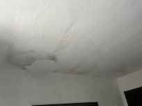 Master bedroom ceiling-moldy