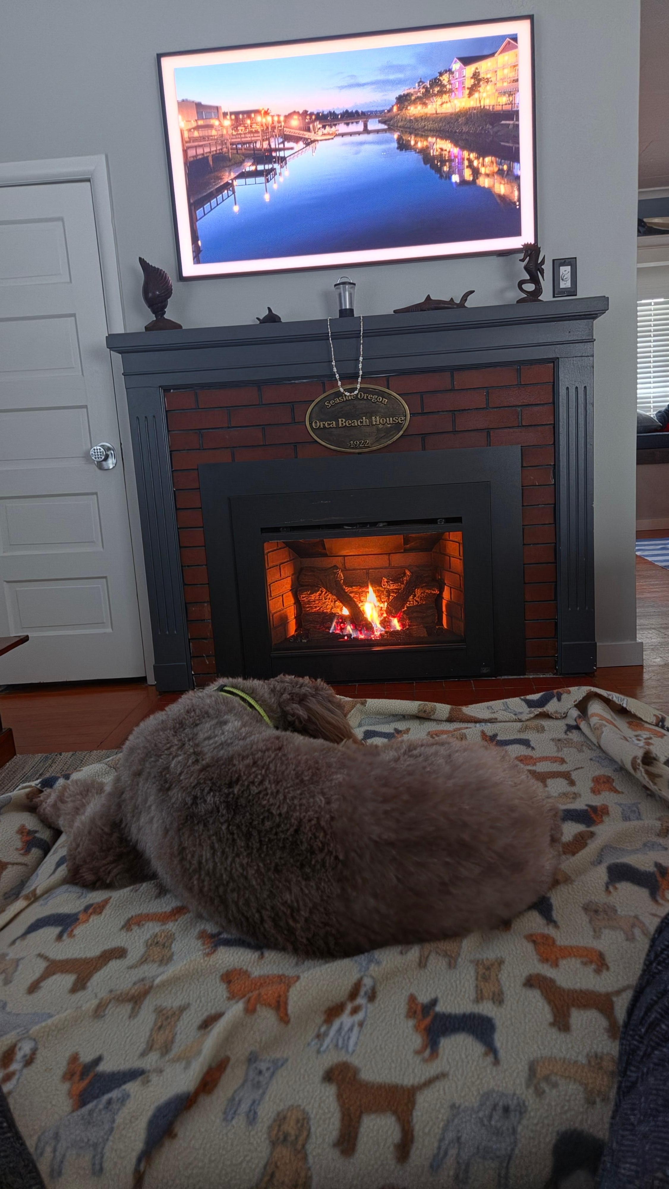 Can't  beat the fireplace and big screen TV.  Charlie was happy too.