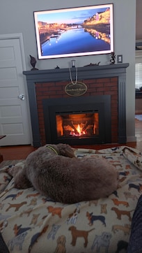 Can't beat the fireplace and big screen TV. Charlie was happy too.