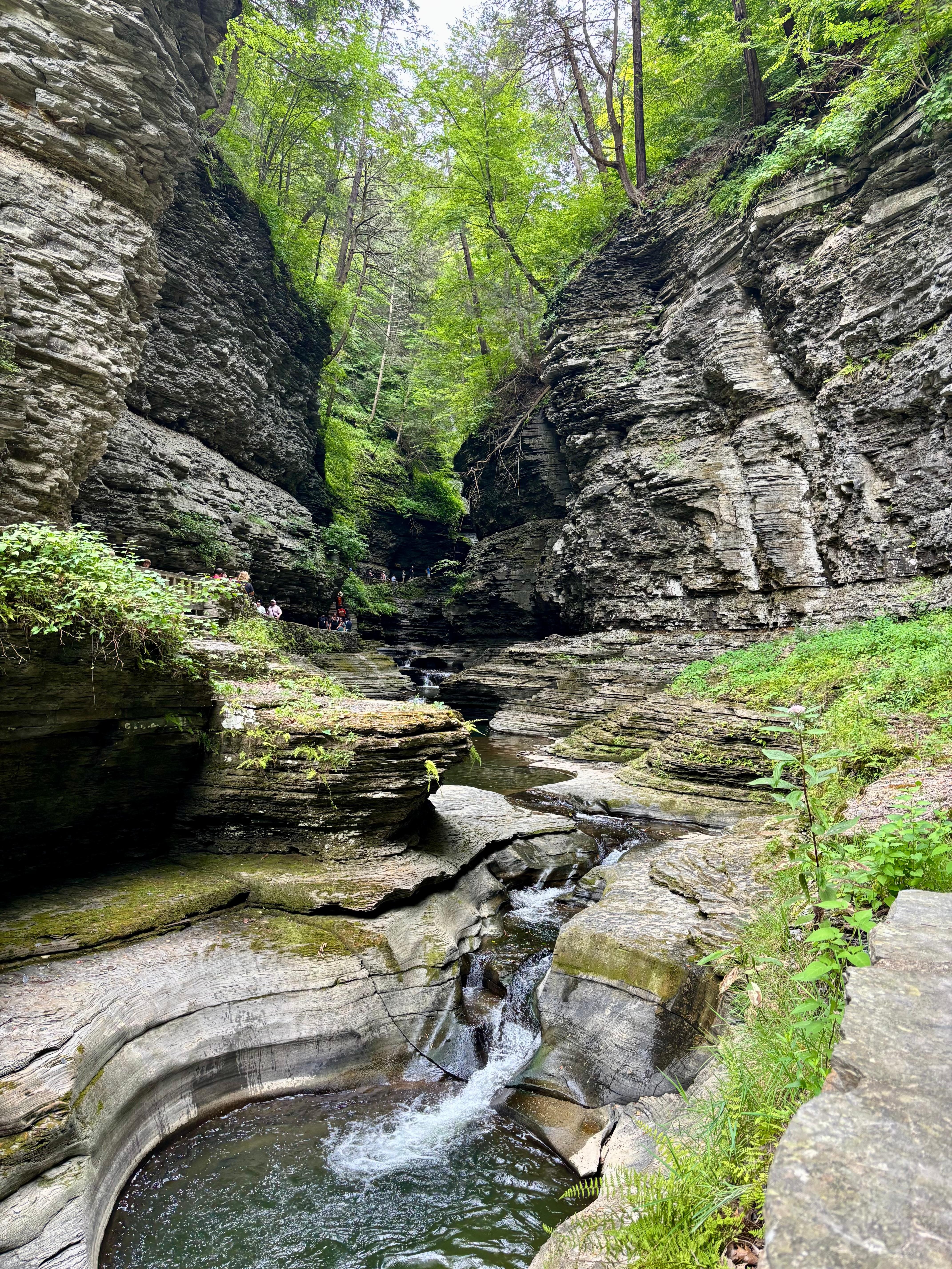 Watkins Glen state park