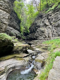 Watkins Glen state park