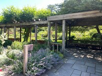 Cornell Botanical Gardens