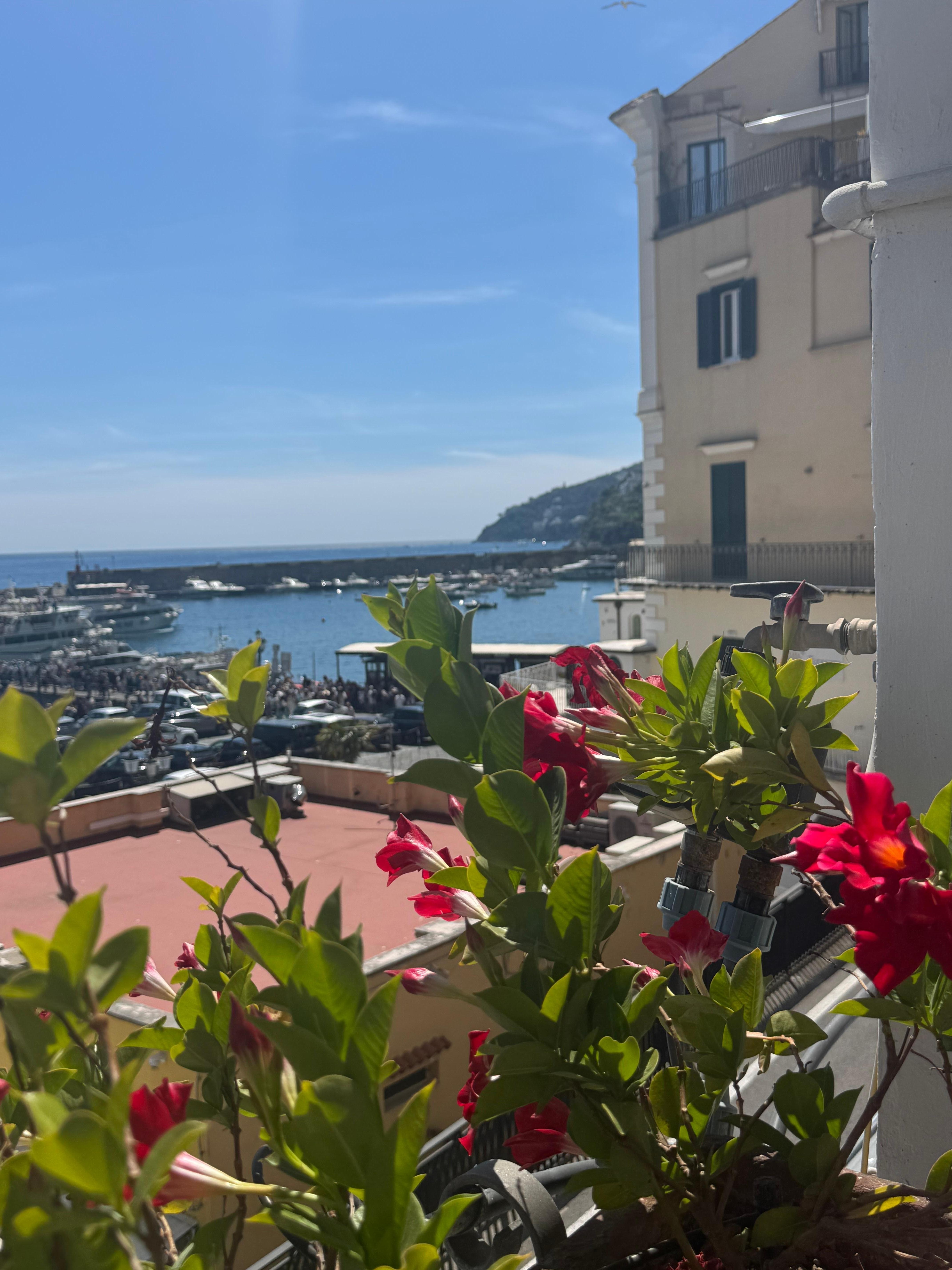 View from room