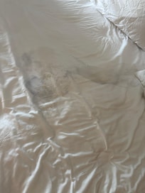Sheets